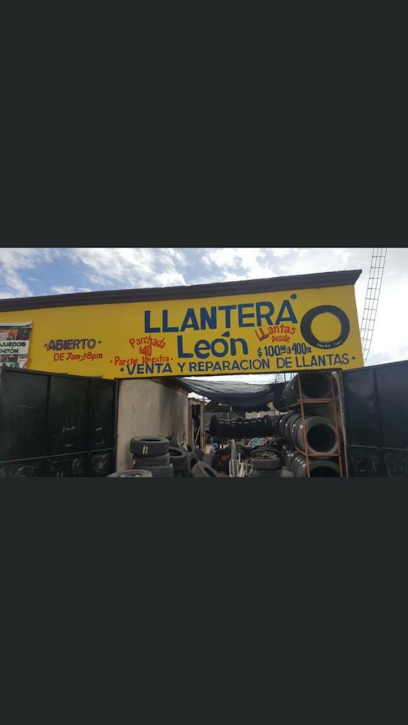 Llantera leon