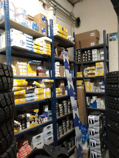 Michelin Los Profesionales En Llantas
